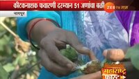 विषबाधा : शेतकऱ्याला चार लाखांचे सानुग्रह द्या - नागपूर खंडपीठ