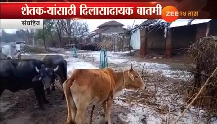 शेतकऱ्यासाठी गुडन्यूज, गारपीट होण्याची शक्यता कमी