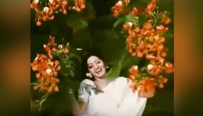 VIDEO: हे होतं श्रीदेवीचं पहिलं हिंदी गाणं, १९७९ मध्ये आला होता सिनेमा