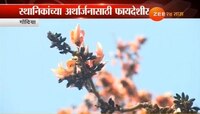 फुलाचा आस्वाद घेण्याकरता युरोपमधली रेजी पेस्टर मैनेची उपस्थिती