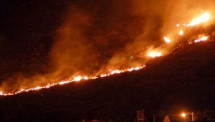 तामिळनाडू : कुरांगनी जंगलाला आग, ११ जणांचा होरपळून मृत्यू