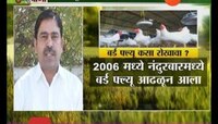 पीकपाणी | 'बर्ड फ्ल्यू'वर कोणते उपाय करावे?