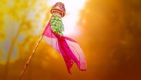 गुढी उभारताना कडुलिंबाचीचं पानं का वापरतात