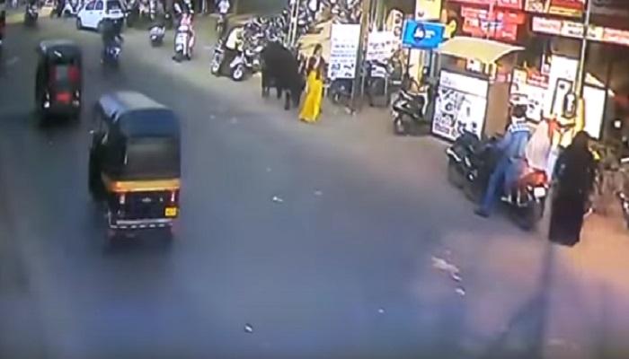 video : बैलाचा महिलेवर हल्ला, सोशल मीडियावर व्हायरल