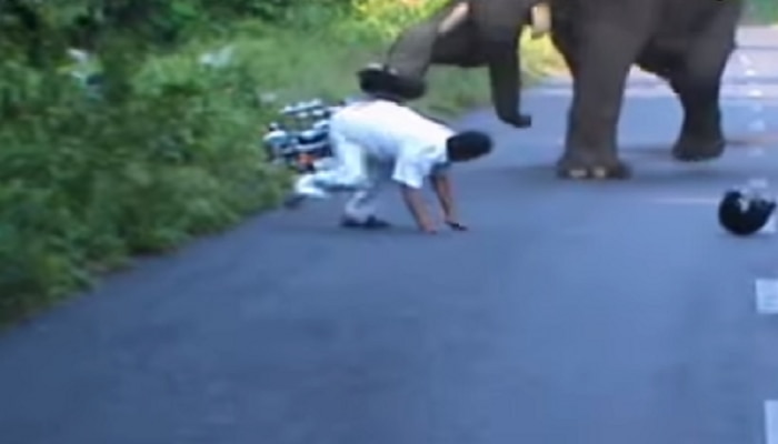 व्हिडिओ: हत्तीने मारली बाईकला किक, दुचाकीस्वाराला दिसला यमराज