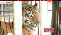 नागपूर ।  'जाई' - महाराजाबागची शान हरपली 