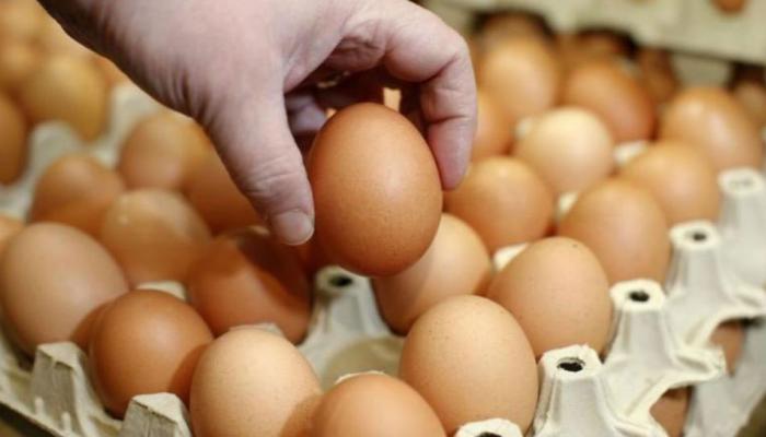 अंडे बाहेरुन कडक आणि आतून नरम का असते? जाणून घ्या