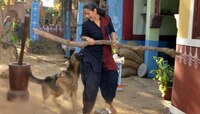 शुटिंगसाठी आणलेल्या जर्मन शेपर्डने  'या' अभिनेत्रीचा घेतला चावा 