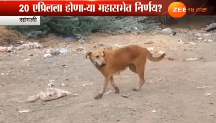 कुत्रा पाळताय? मग ही बातमी नक्की पाहा