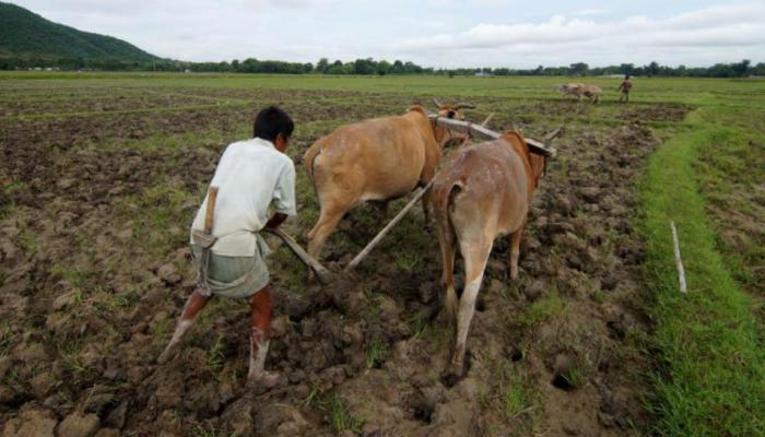 सरकारचं माहीत नाही, पण &#039;निसर्ग&#039; देणार अच्छे दिनाची अनुभूती