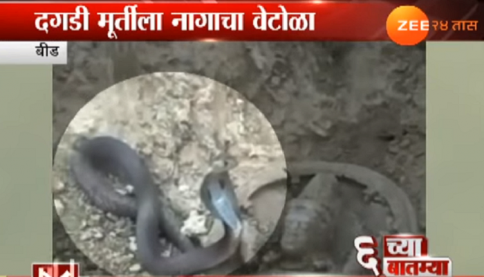 अंधश्रद्धेचा बाजार उठला : स्थानिकांनीच आणून ठेवला होता 'तो' नाग 