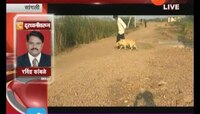 सांगली : श्वानकर आकारणीचा निर्णय मागे