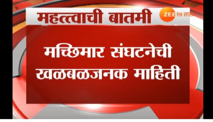 धक्कादायक! मुंबईतले मासे गायब, मासे महागणार