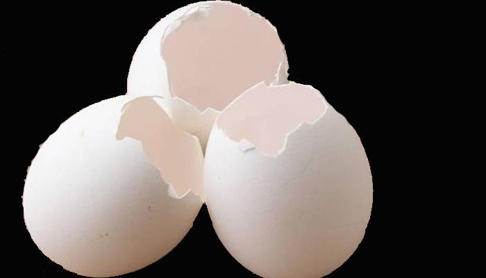 अंड्याच्या कवचाचे हे फायदे तुम्हाला माहित आहेत का?
