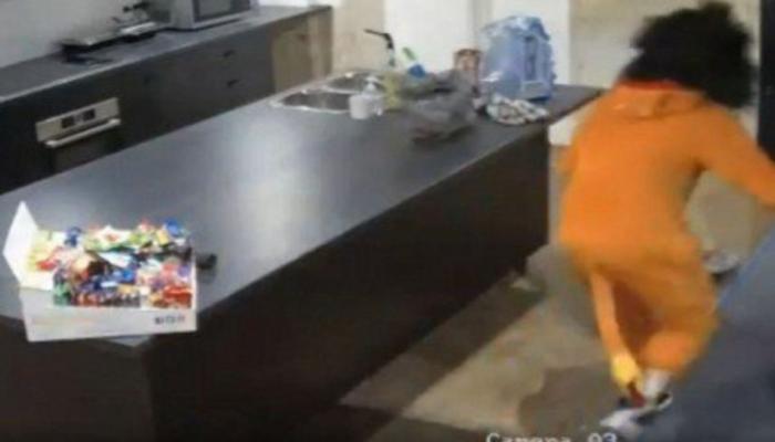 व्हिडिओ: सिंहाने चोरले चॉकलेट; घटना सीसीटीव्हीत कैद