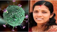 निपाह व्हायरसमुळे नर्सचा बळी; मृत्युपूर्वी पतीला लिहिले हृदयद्रावक पत्र