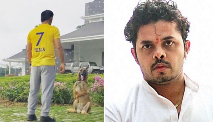 व्हिडिओ : धोनीला 'थाला' म्हटल्यानंतर भडकला श्रीसंत 