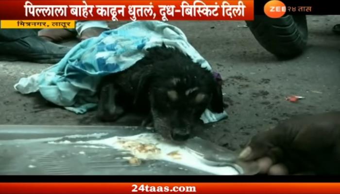 लातुरात कुत्र्याच्या पिल्लाला वाचण्यासाठी सरसावले नागरिक