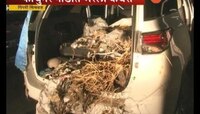 ...म्हणून त्यानं ४० लाखांच्या गाडीत कचरा भरला!
