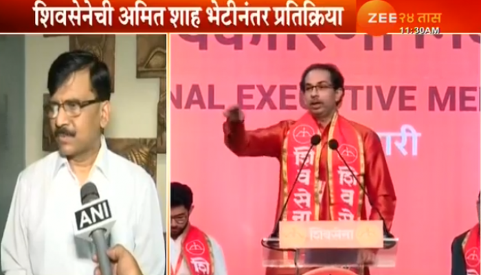 शाह-ठाकरे भेटीनंतर 'युती'बद्दल संजय राऊत म्हणतात... 