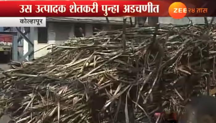 साखर उद्योगाला पॅकेज जाहीर, ऊस उत्पादक शेतकऱ्यांना अच्छे दिन