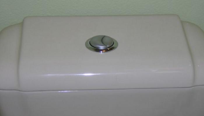 टॉयलेट फ्लशला दोन बटणं का असतात? जाणून घ्या यामागचे कारण