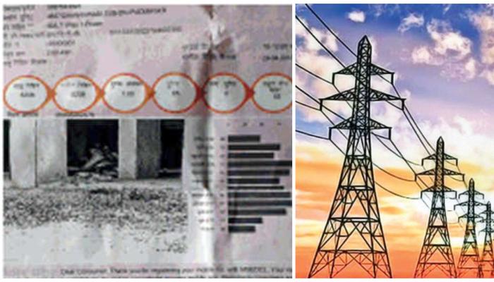 वीजबिलावर कुत्र्याचा फोटो; महावितरणची कामगिरी