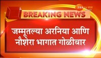 ईदच्या दिवशी गोळीबार, नौशेरामध्ये एक जवान शहीद 