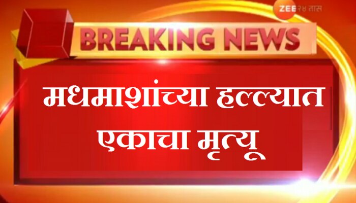 बोरीवलीत मधमाशांच्या हल्ल्यात एकाचा मृत्यू