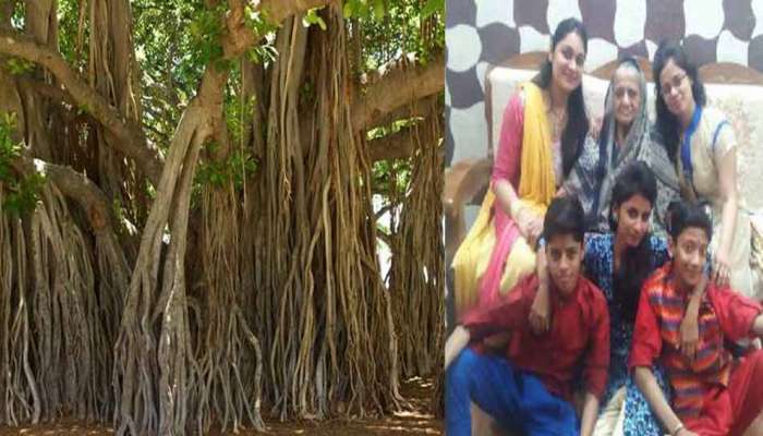 घरात लटकलेल्या ११ मृतदेहांचं वडाच्या पारंब्यांशी कनेक्शन