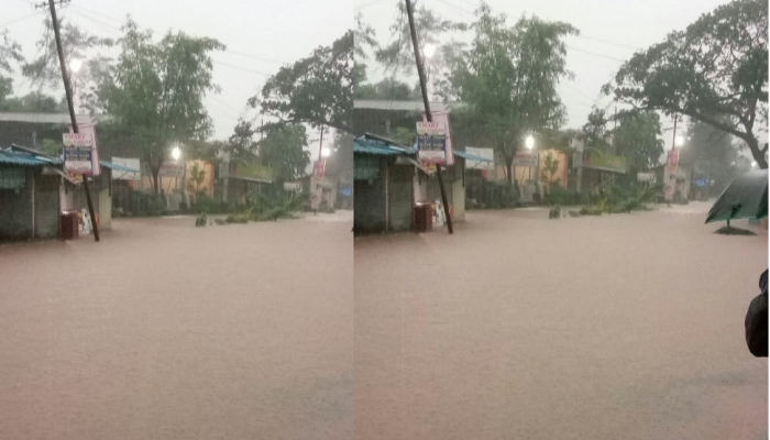 शहापूरमध्ये मुसळधार पावसामुळे अनेक भागात साचलं पाणी