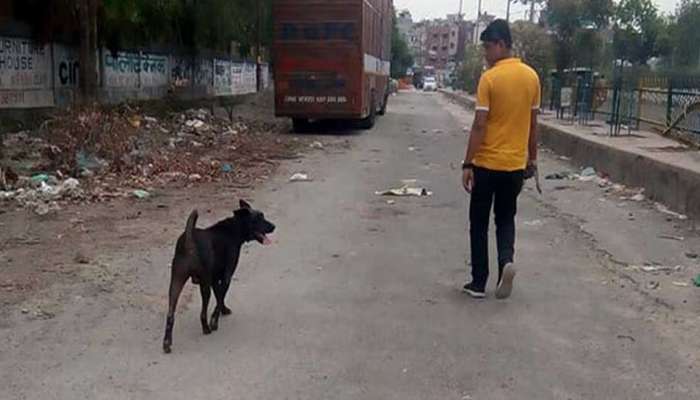 बुराडी प्रकरणाच्या २२ दिवसानंतर कुटुंबातल्या कुत्र्याचाही मृत्यू