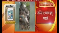 रायगडच्या आंबेनळी घाट बस अपघात : ३४ पैंकी केवळ एक जण बचावला