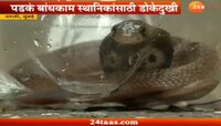 वरळीत सापाच्या भीतीने उडाली स्थानिकांची झोप