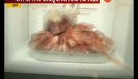 मुंबई | सावधान, मृत रोगट चिकनची चायनिज गाड्यांना होतेयं विक्री