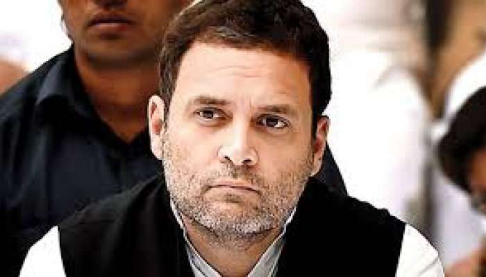 निवडणुका जिंकण्यासाठीच लढायच्या असतात; 'या' नेत्याने राहुल गांधींना सुनावले