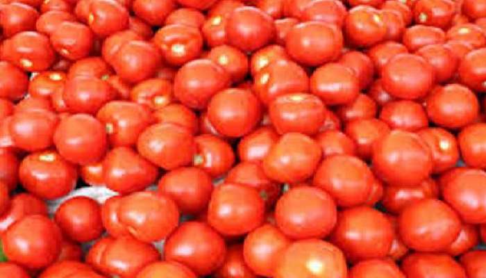 भाजीपाल्याचे दर कोसळलेत, टोमेटोला कवडीमोल भाव