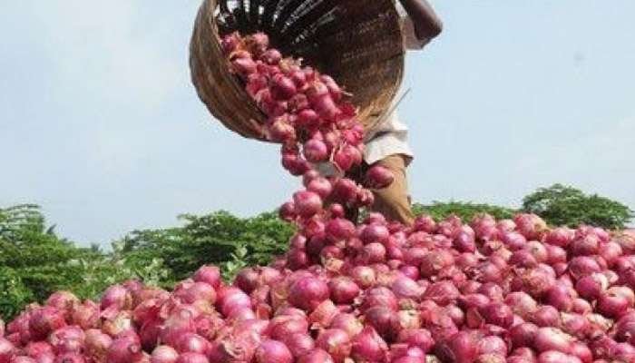 कांद्याचा दर 1 रुपया प्रति किलो, शेतकऱ्याच्या डोळ्यात पाणी  