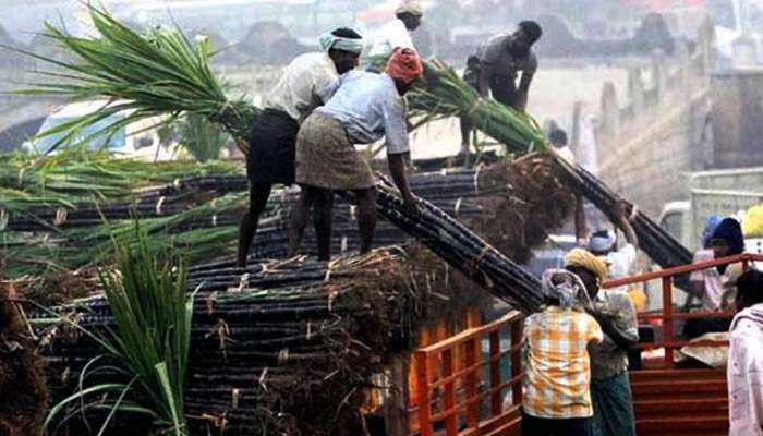 साखर उद्योगासाठी केंद्र सरकारचे ५ हजार ५३८ कोटींचे पॅकेज