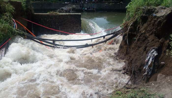 ऊंदीर, घूस आणि खेकड्यांमुळे कालवा फुटला -  गिरीश महाजन