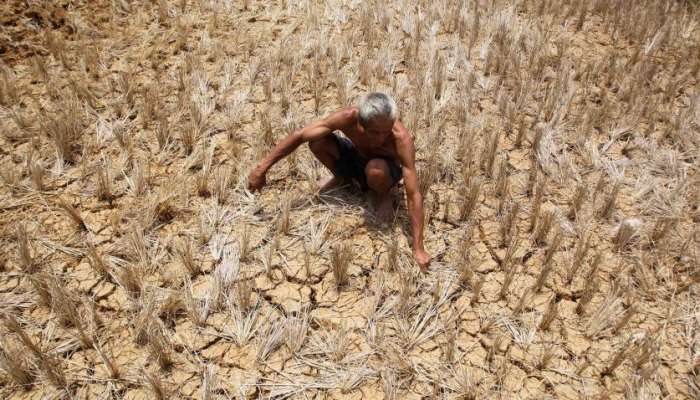 जळगाव जिल्ह्यात दुष्काळी परिस्थिती 