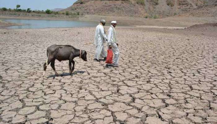 दुष्काळी परिस्थितीमुळे शेतकरी हवालदिल