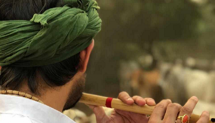 VIRAL VIDEO : या 'कृष्ण कन्हैय्या'ला ओळखलंत का?