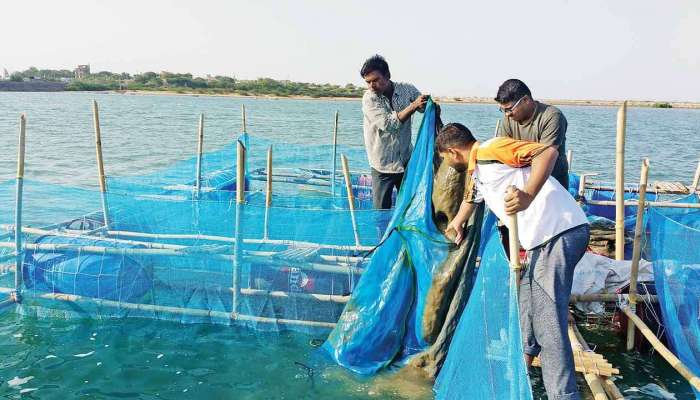 महाराष्ट्राच्या सागरी सीमेत परप्रांतीय बोटींची घुसखोरी 