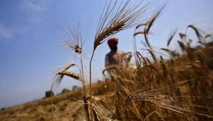 यवतमाळमध्ये शेतकऱ्यांनी साजरी केली 'काळी दिवाळी'