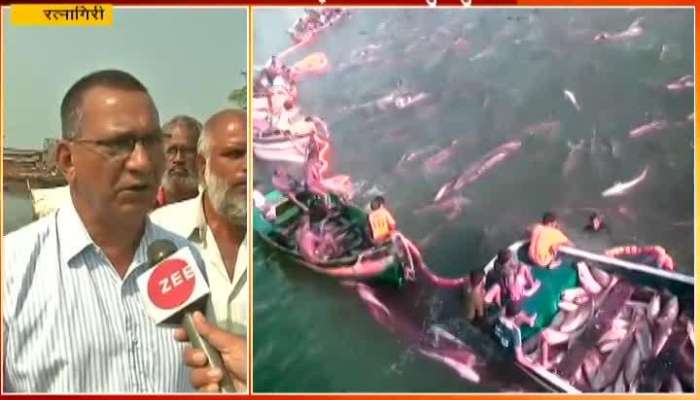  Ratnagiri Kokan Fisherman Angry For Illegal Fishing Done