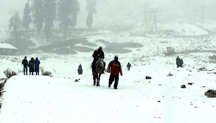 शिमल्याच्या ऐतिहासिक नॅरोगेज मार्गावर धावणार व्हीस्टाडोम डबे