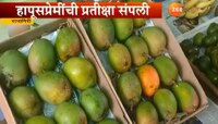 हापूस दाखल, अडीच हजार रुपये डझनला दर
