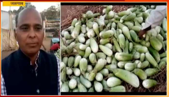 Jalgaon Chef Vishnu Manohar To Attempt Another World Record By Making 2500 Vangyache Bharit.