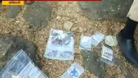 डोबिवली | महिलेची छेडछाड करणाऱ्या तरुणाचे गुप्तांग कापले